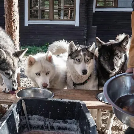 別荘 Wilderness Cabin At Huskyfarm Lake View *