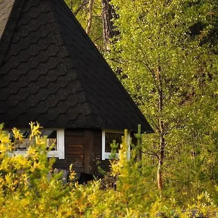 Wilderness Cabin At Huskyfarm Lake View 別荘 イバロ